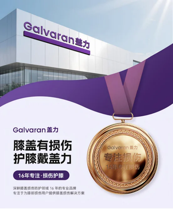 从专业到引领,Galvaran盖力凭何斩获艾媒咨询三项市场地位确认? 从专业到引领,Galvaran盖力凭何斩获艾媒咨询三项市场地位确认?